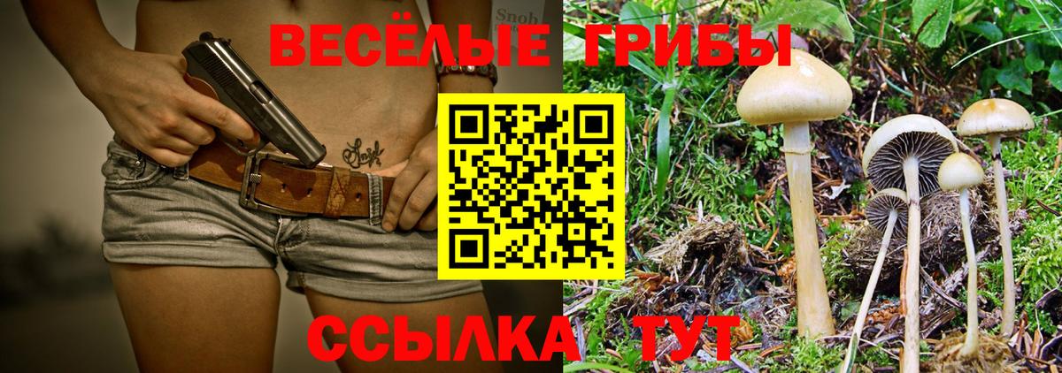 Псилоцибиновые грибы Psilocybe  Вход с VPN  Унеча 